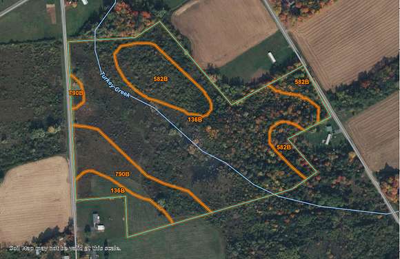 35 Acres of Recreational Land & Farm for Auction in Deansboro, New York