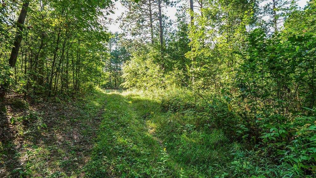 10 Acres of Land for Sale in Almond, Wisconsin