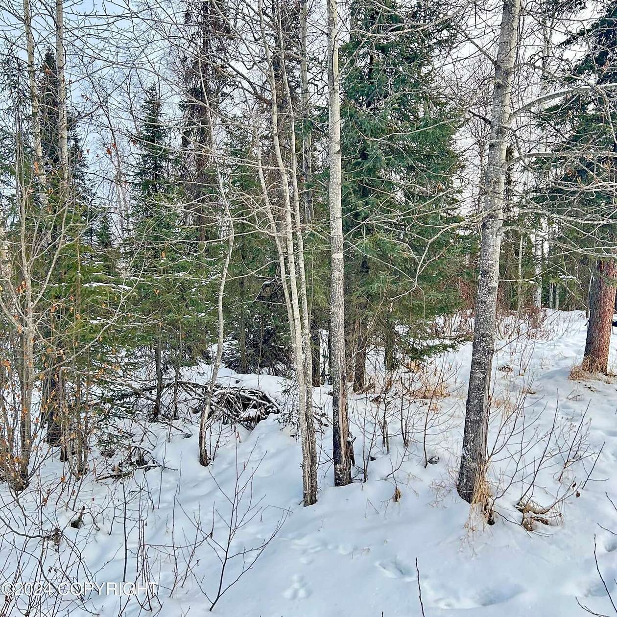 0.97 Acres of Mixed-Use Land for Sale in Sterling, Alaska