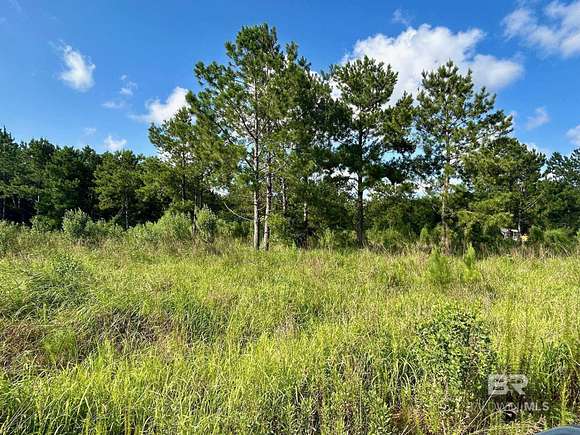 30 Acres of Land for Sale in Foley, Alabama