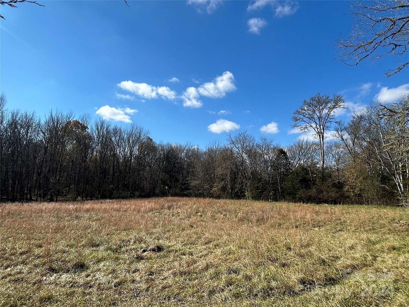 156 Acres of Recreational Land & Farm for Sale in Carlisle, South Carolina