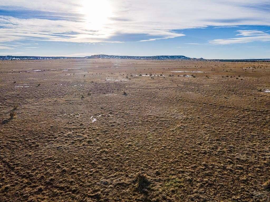 47.273 Acres of Land for Sale in Delhi, Colorado