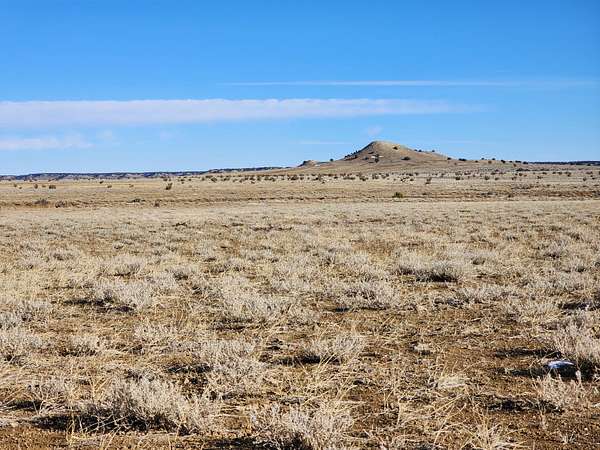 47 Acres of Land for Sale in Model, Colorado