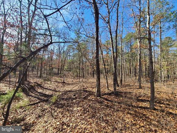 310 Acres of Recreational Land for Sale in Egg Harbor Township, New Jersey