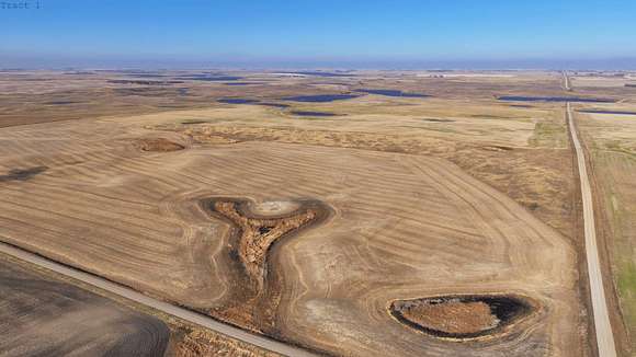 849 Acres of Agricultural Land for Auction in Esmond, North Dakota