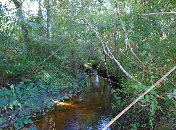 Creek connected to Econ River