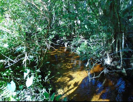 creek connected to Econ River