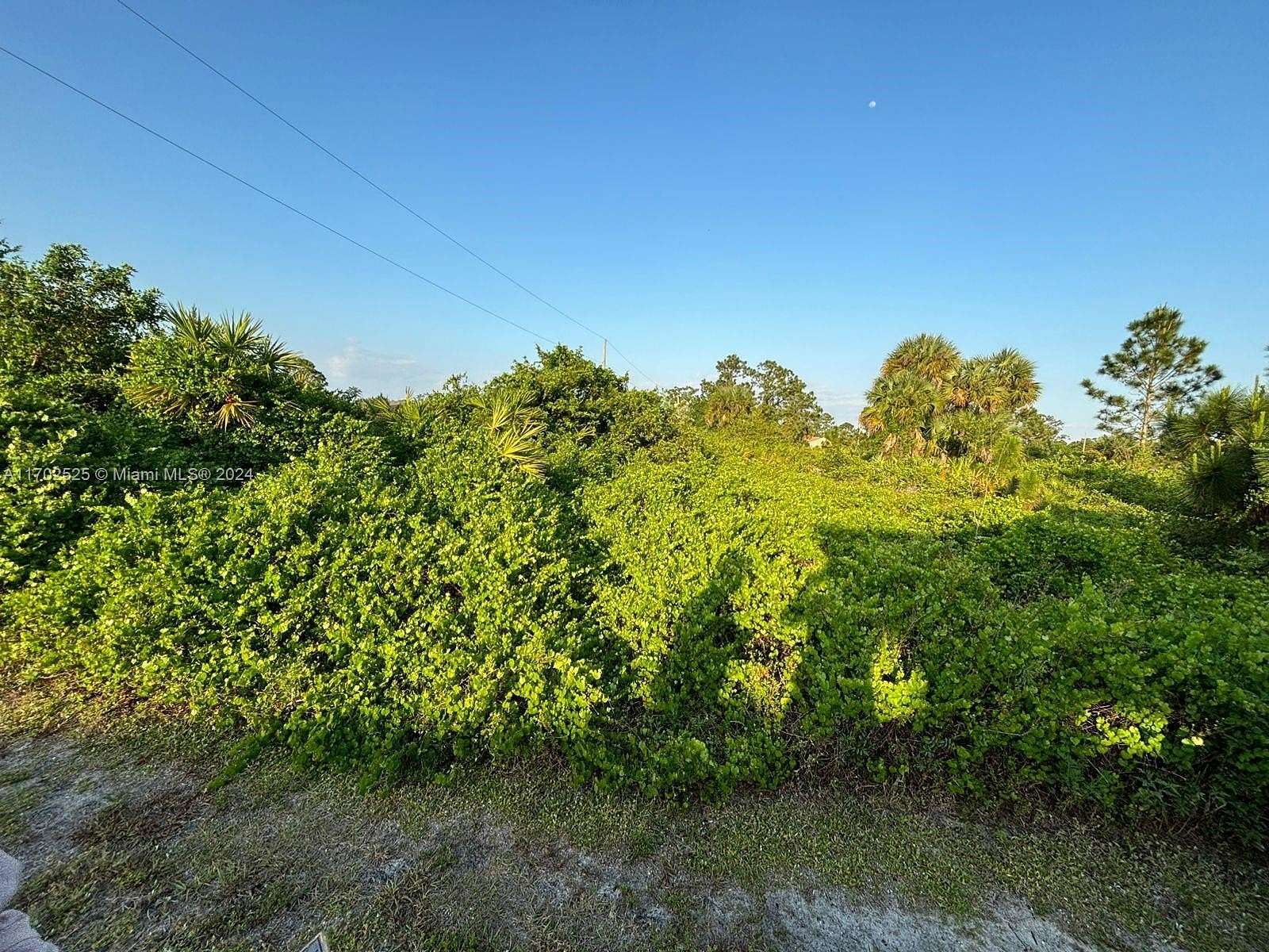 0.416 Acres of Residential Land for Sale in Lehigh Acres, Florida