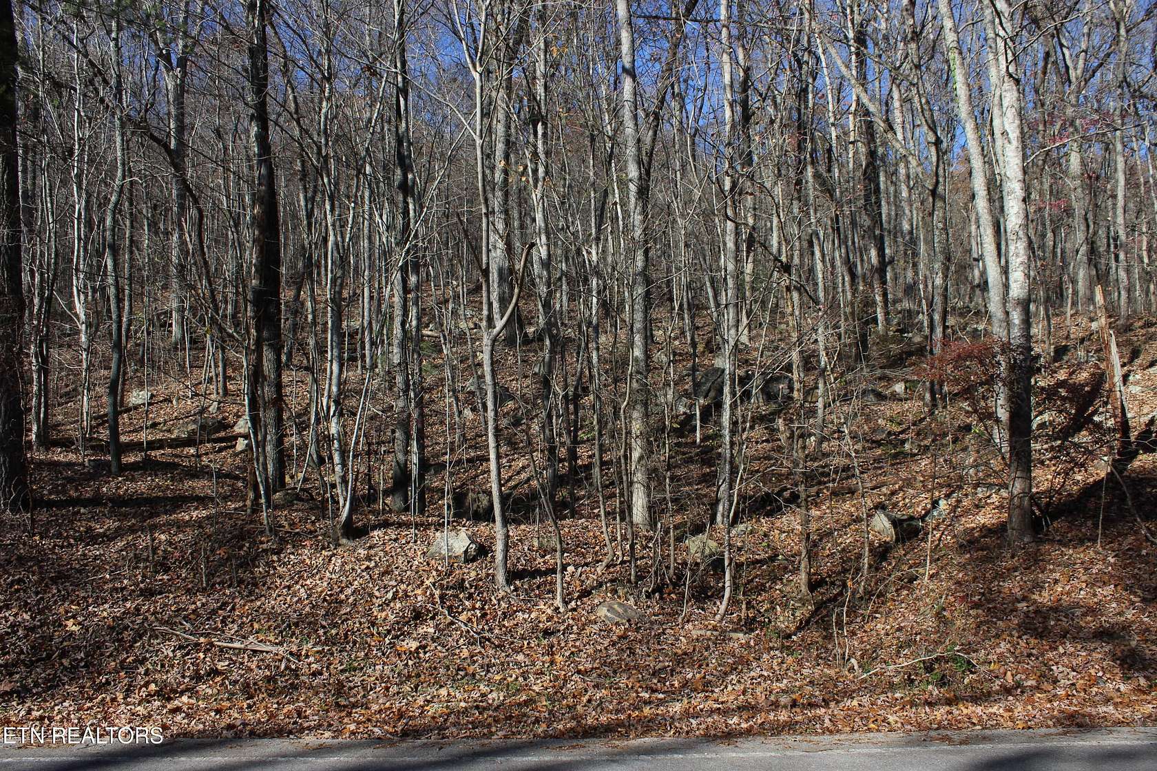 0.73 Acres of Land for Sale in Harriman, Tennessee