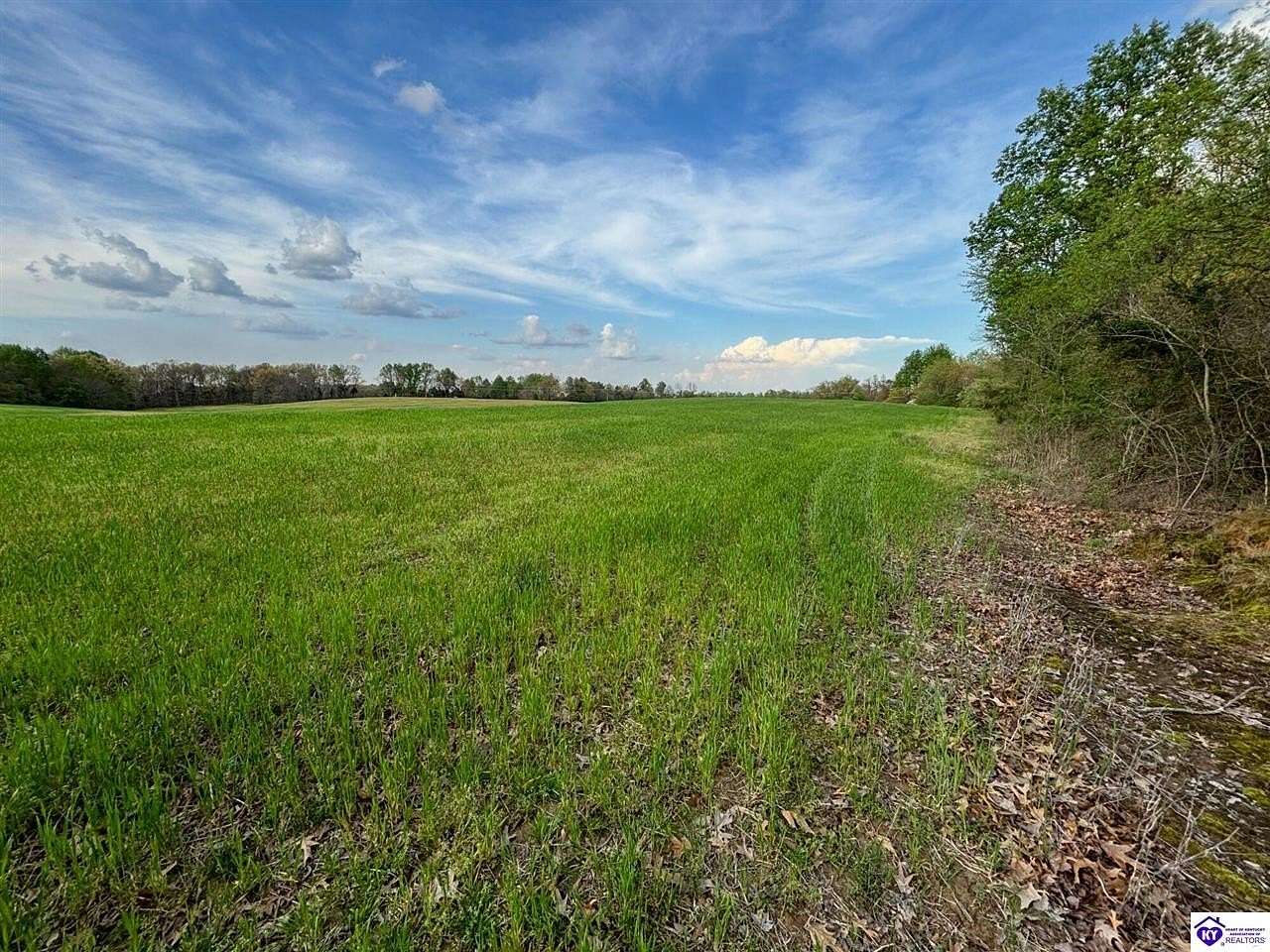 30 Acres of Recreational Land & Farm for Auction in Payneville, Kentucky