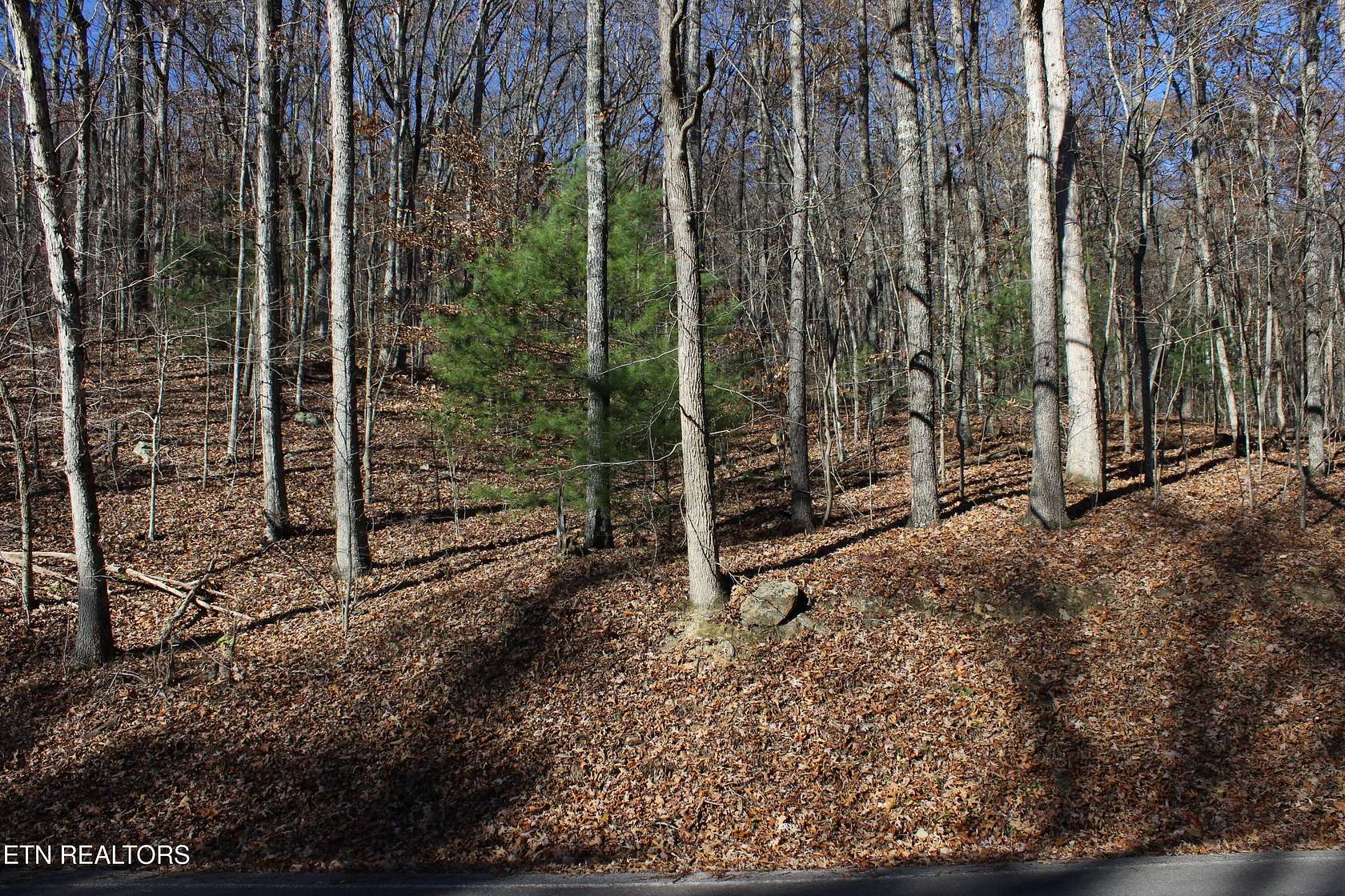 0.79 Acres of Land for Sale in Harriman, Tennessee