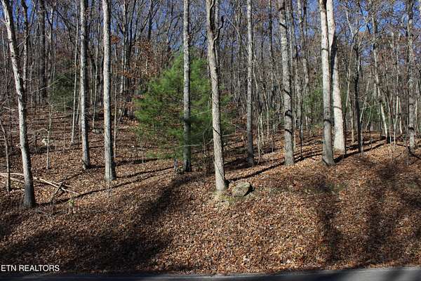0.79 Acres of Land for Sale in Harriman, Tennessee