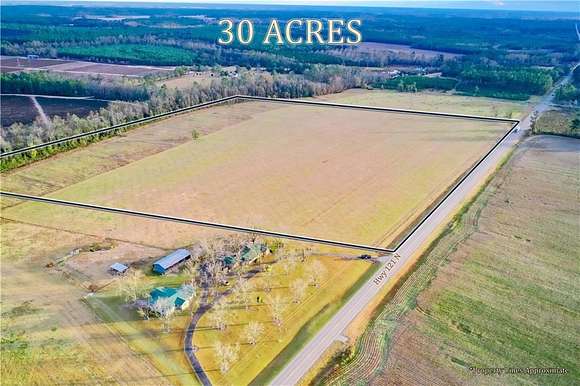 30.06 Acres of Agricultural Land for Sale in Blackshear, Georgia