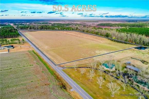 50.53 Acres of Agricultural Land for Sale in Blackshear, Georgia