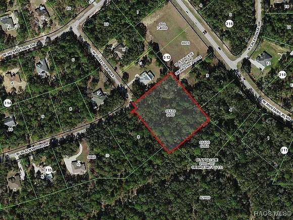 2.43 Acres of Land for Sale in Beverly Hills, Florida