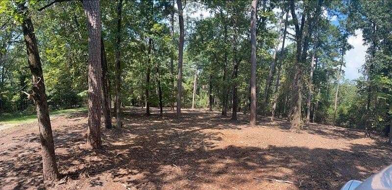 0.584 Acres of Residential Land for Sale in Scroggins, Texas