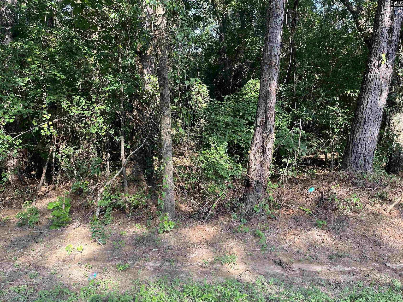 3.78 Acres of Land for Sale in North, South Carolina