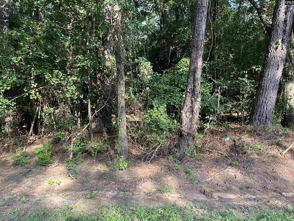 3.78 Acres of Land for Sale in North, South Carolina