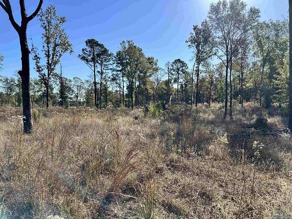 1.294 Acres of Residential Land for Sale in Diana, Texas