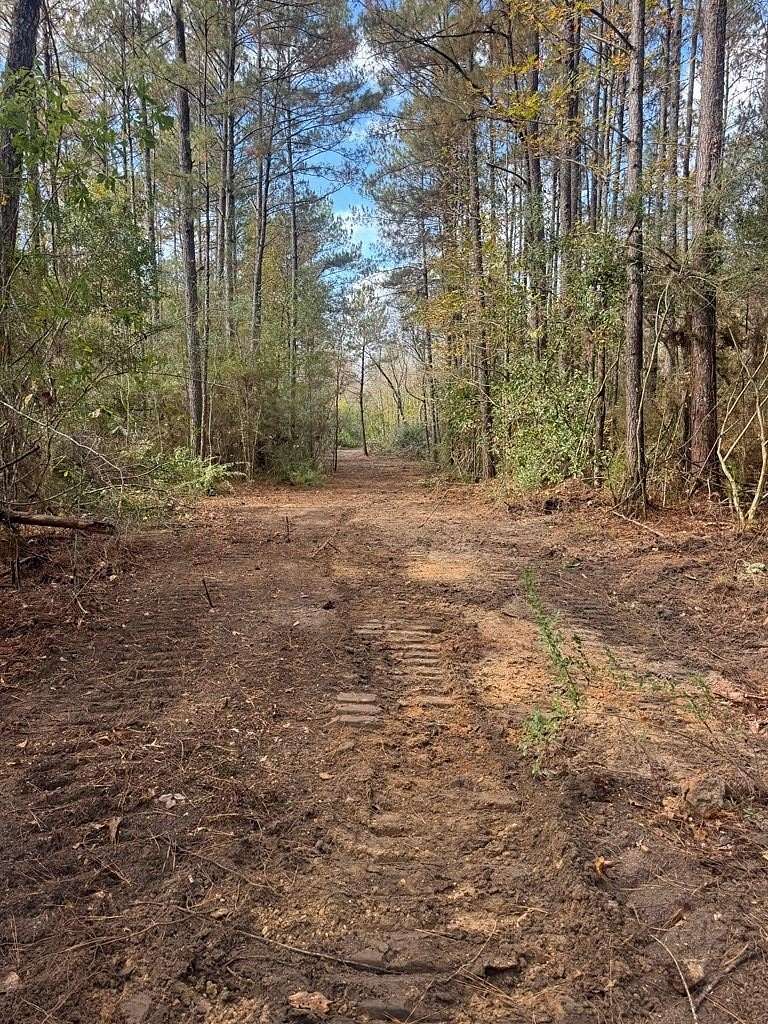 21.2 Acres of Recreational Land for Sale in Poplarville, Mississippi