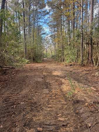 21.2 Acres of Recreational Land for Sale in Poplarville, Mississippi