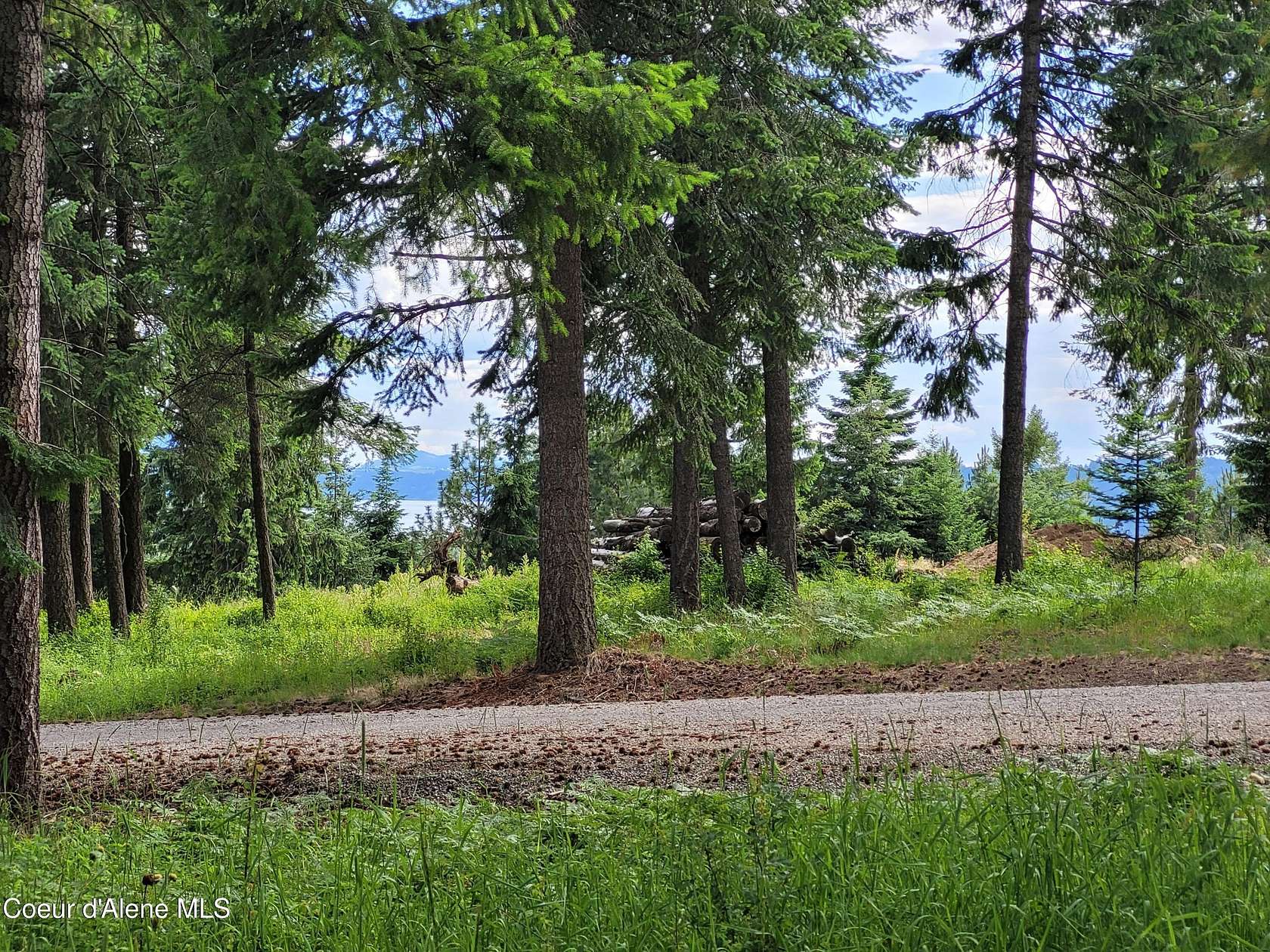 12 Acres of Land for Sale in Harrison, Idaho