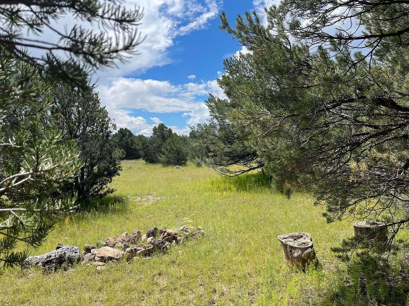 1.38 Acres of Residential Land for Sale in Quemado, New Mexico