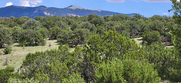 38.9 Acres of Recreational Land for Sale in Magdalena, New Mexico