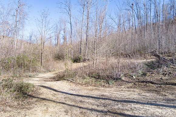 54.88 Acres of Recreational Land for Sale in Rickman, Tennessee