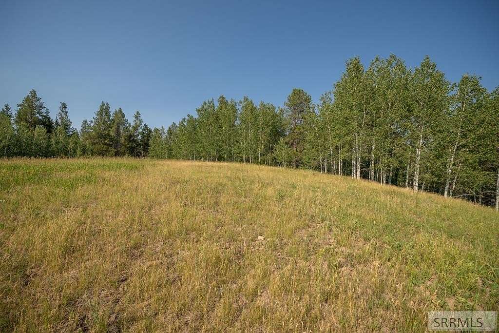 2.73 Acres of Land for Sale in Ashton, Idaho