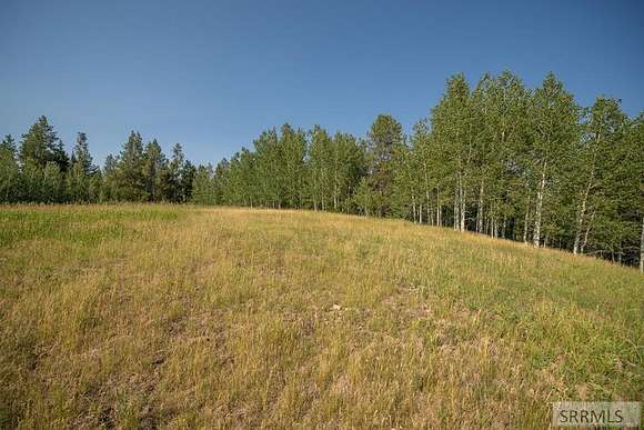 2.73 Acres of Land for Sale in Ashton, Idaho