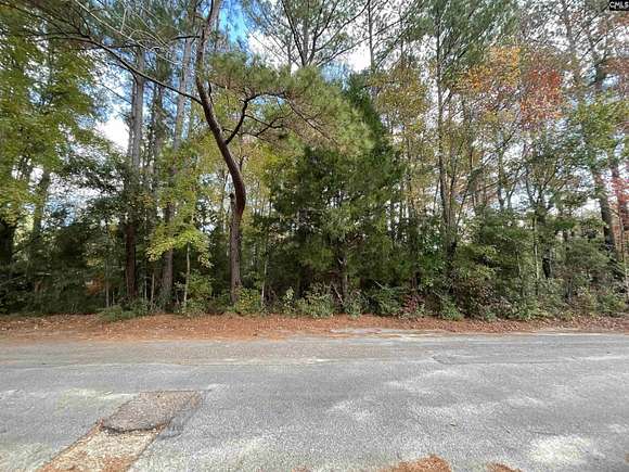 0.33 Acres of Residential Land for Sale in Bamberg, South Carolina