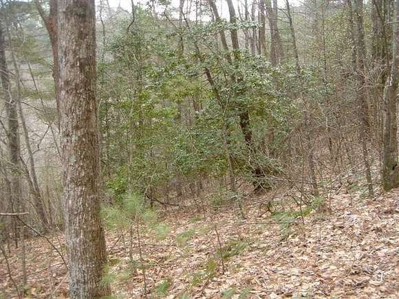 3 Acres of Residential Land for Sale in Blairsville, Georgia