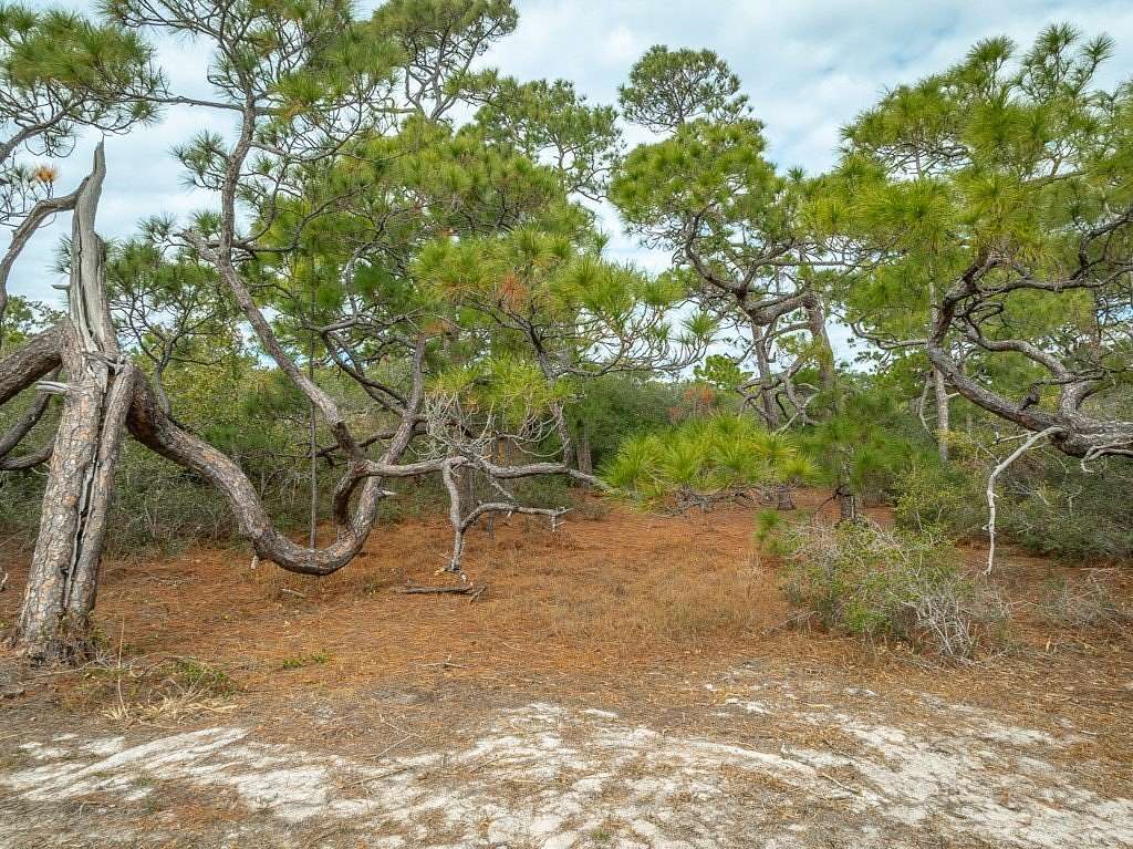 1 Acre of Residential Land for Sale in St. George Island, Florida