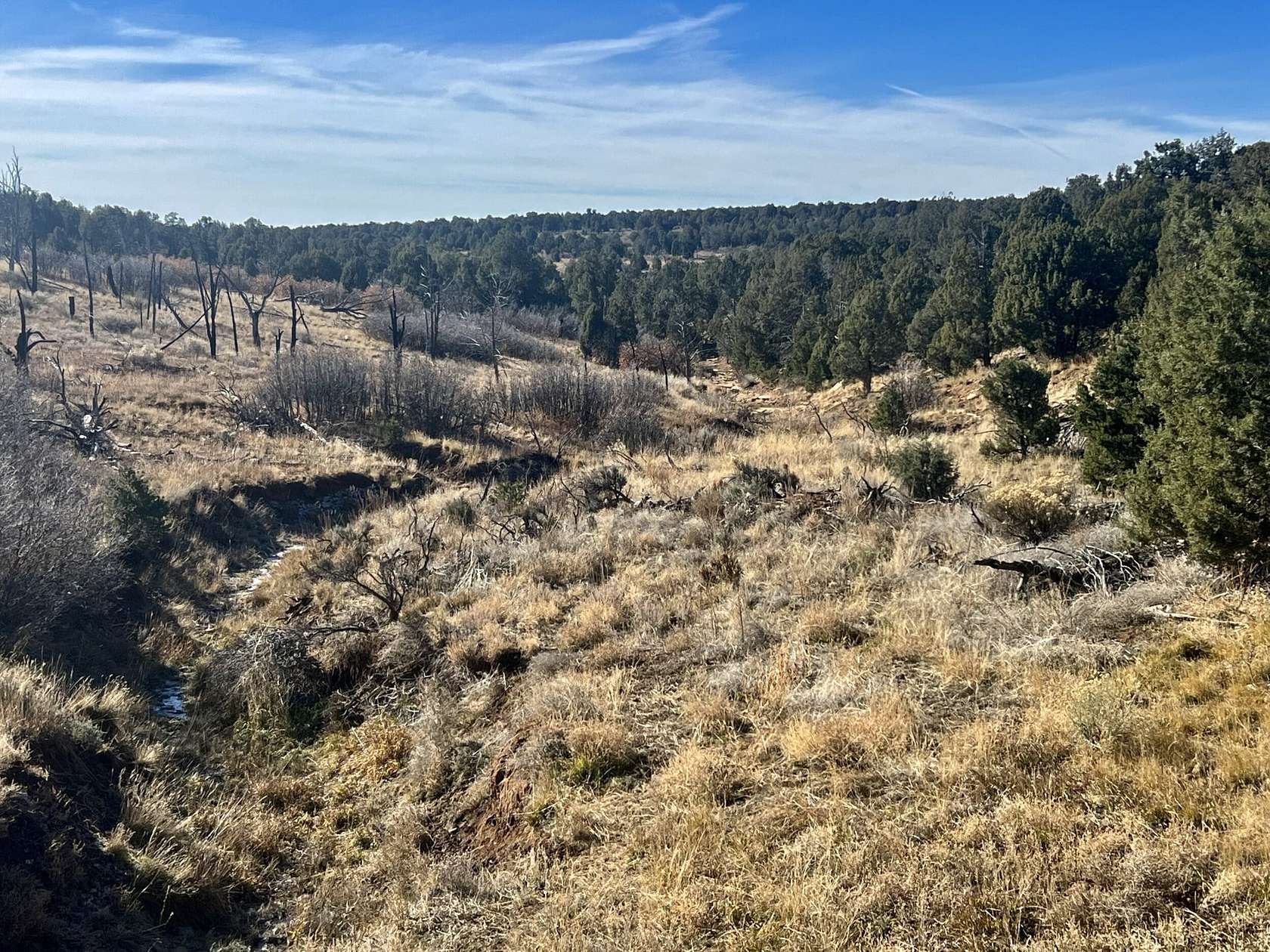 2,400 Acres of Land for Sale in Hesperus, Colorado