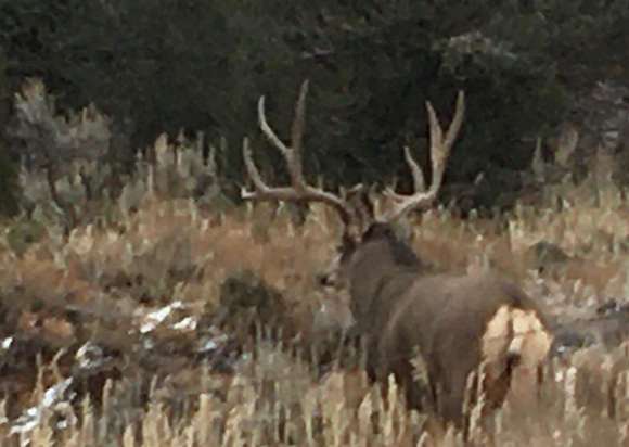 2,400 Acres of Land for Sale in Hesperus, Colorado