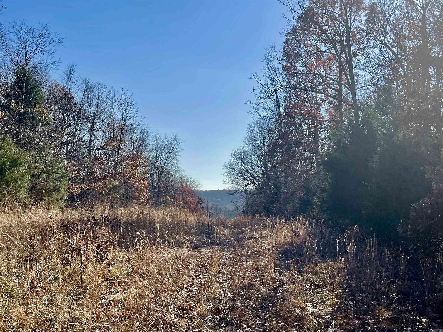 80 Acres of Recreational Land for Sale in Black Rock, Arkansas