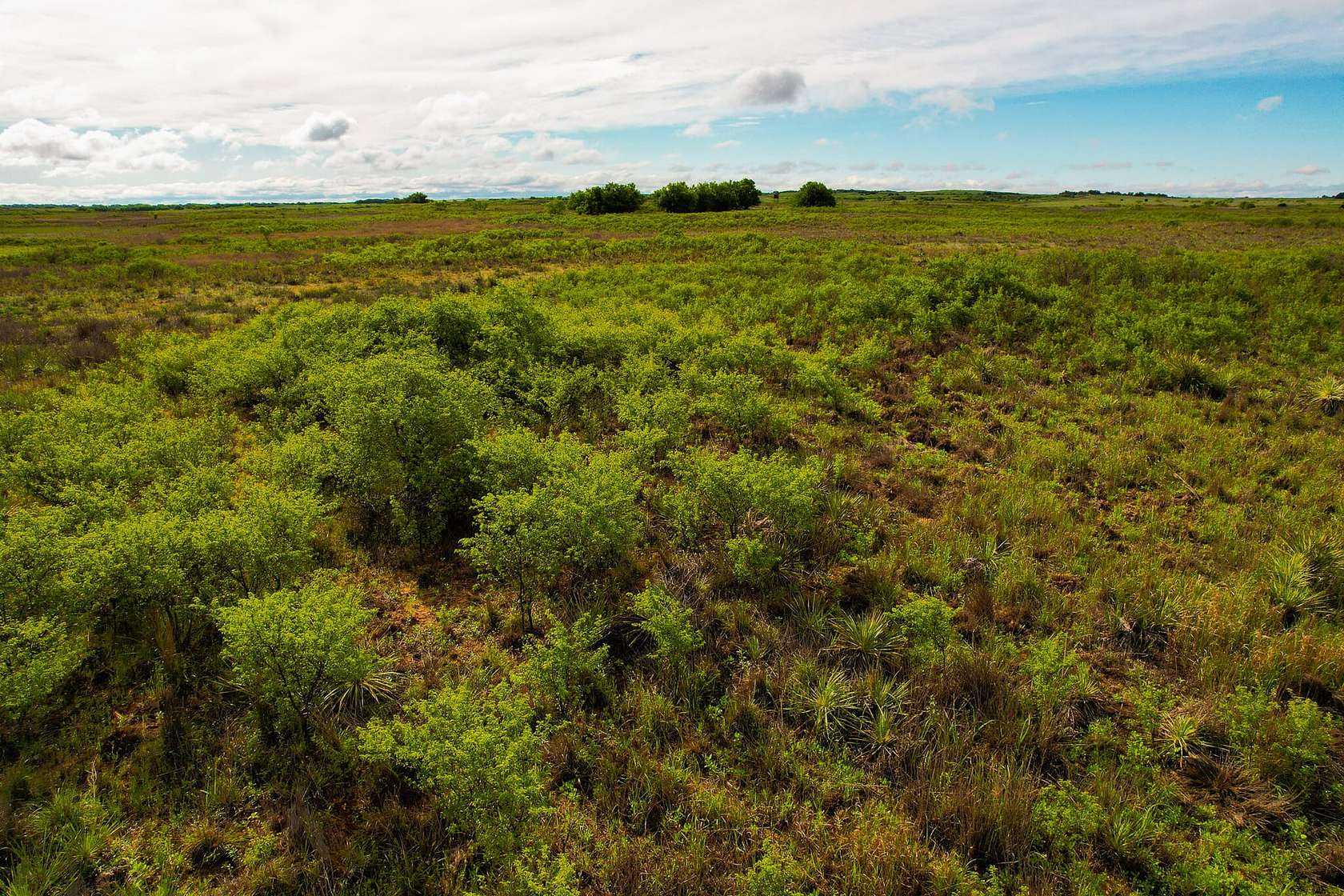 160 Acres of Recreational Land & Farm for Sale in Childress, Texas