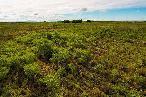 160 Acres of Recreational Land & Farm for Sale in Childress, Texas