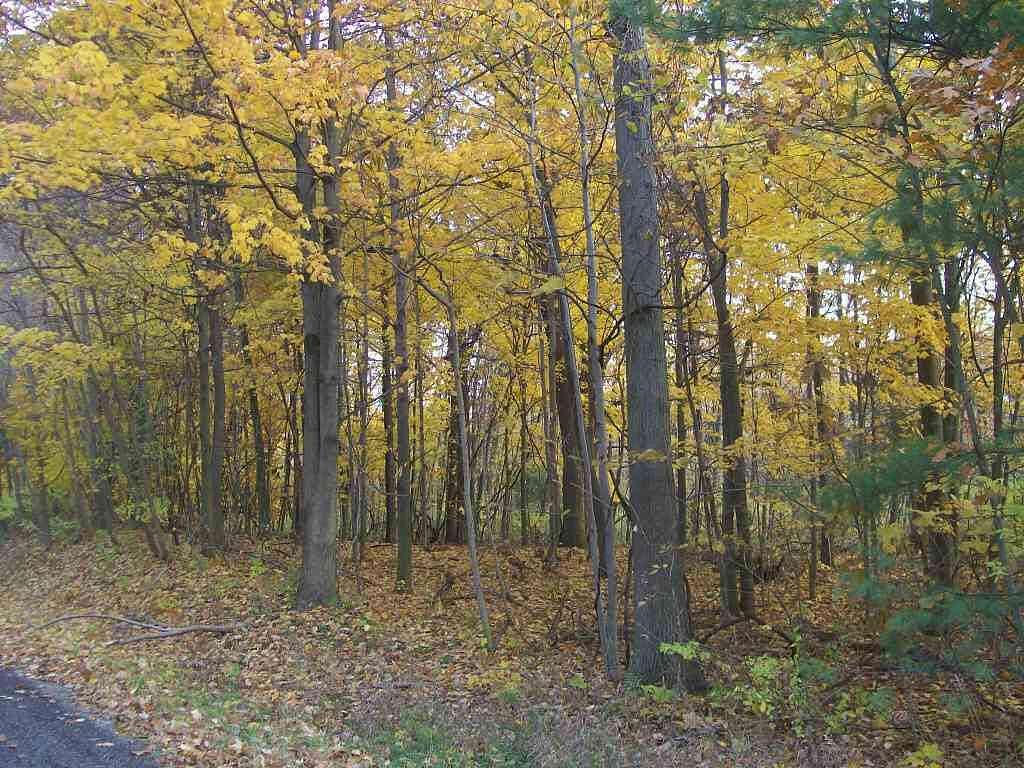 1.09 Acres of Residential Land for Sale in Saugatuck, Michigan