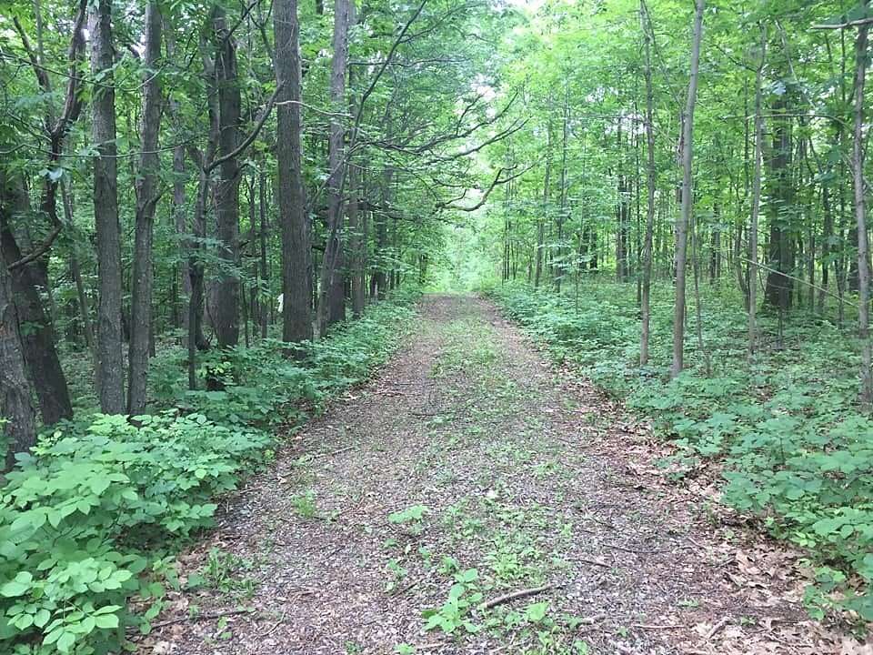 7.5 Acres of Land for Sale in Canandaigua Town, New York