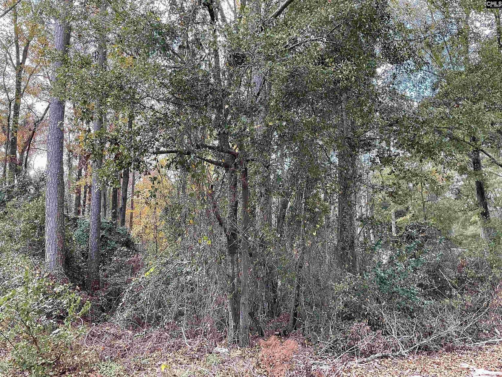 0.33 Acres of Residential Land for Sale in Bamberg, South Carolina