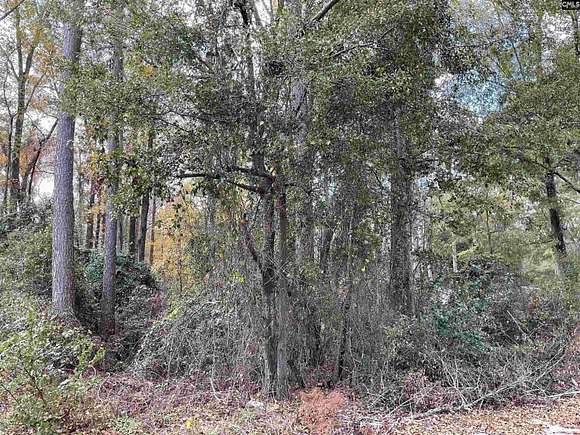 0.33 Acres of Residential Land for Sale in Bamberg, South Carolina ...