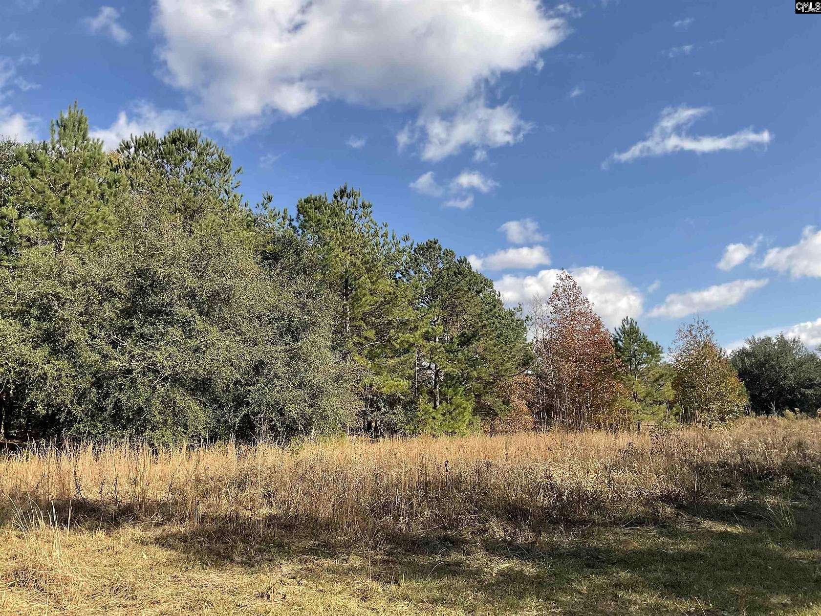 27.03 Acres of Recreational Land for Sale in Denmark, South Carolina