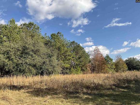 27.03 Acres of Recreational Land for Sale in Denmark, South Carolina