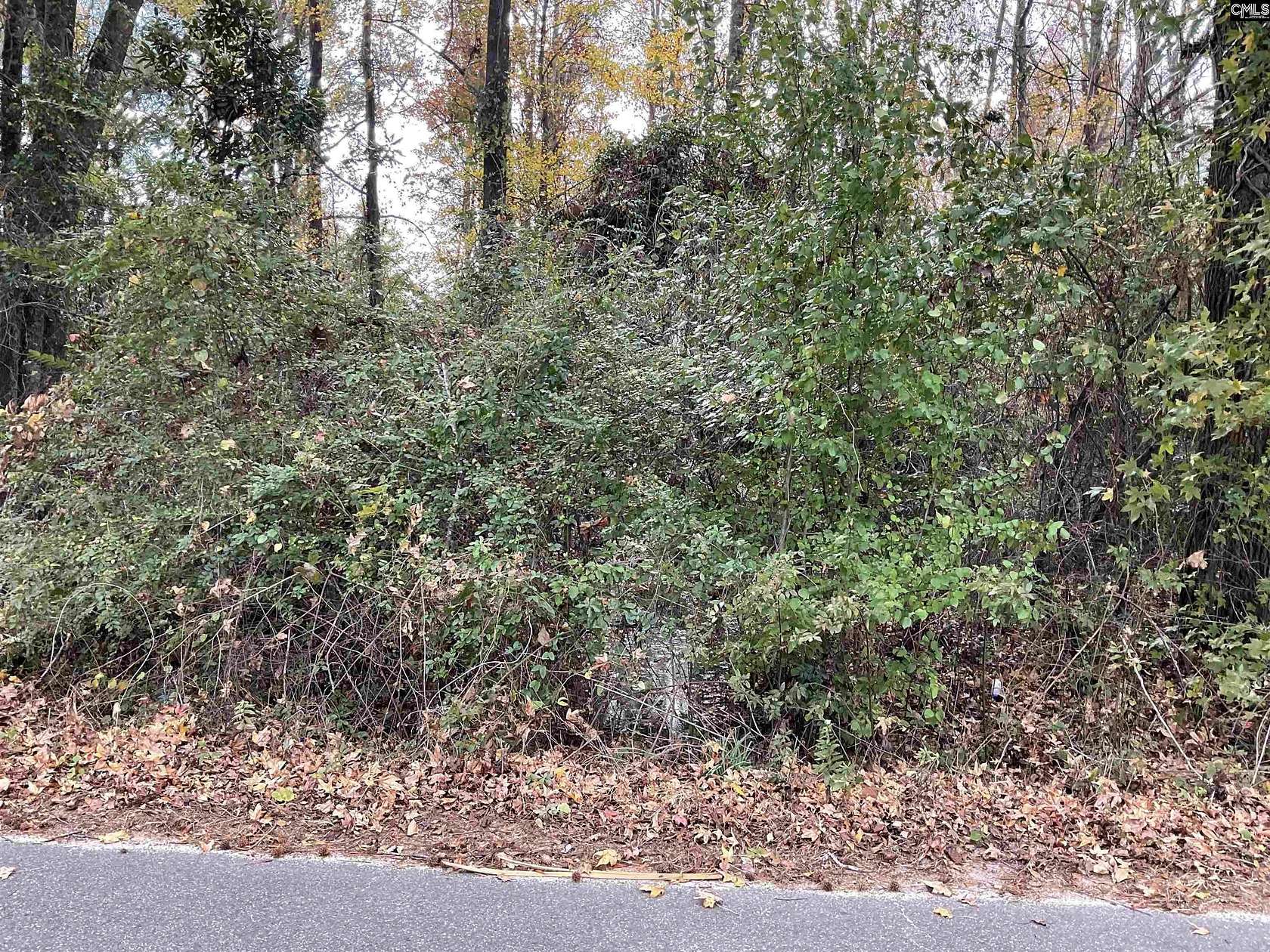 0.33 Acres of Land for Sale in Bamberg, South Carolina