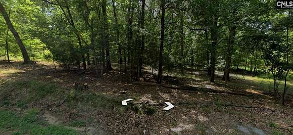 3 Acres of Residential Land for Sale in Prosperity, South Carolina