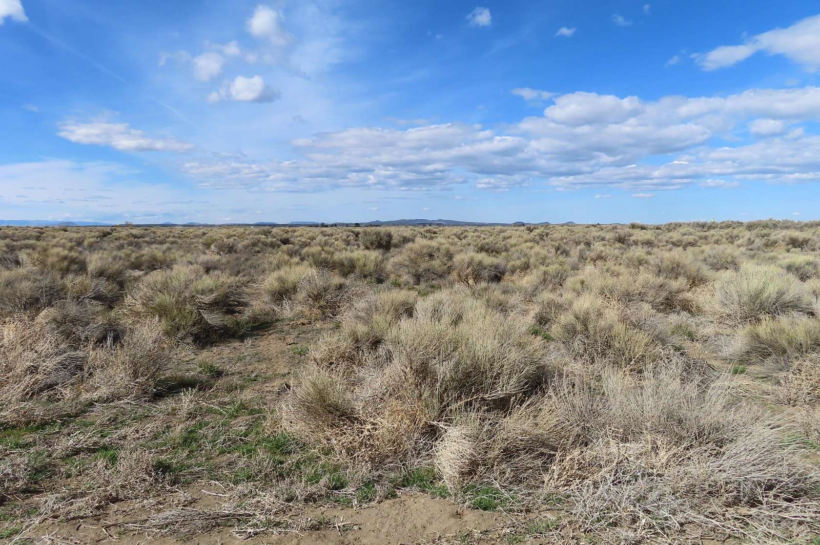 20 Acres of Agricultural Land for Sale in Christmas Valley, Oregon