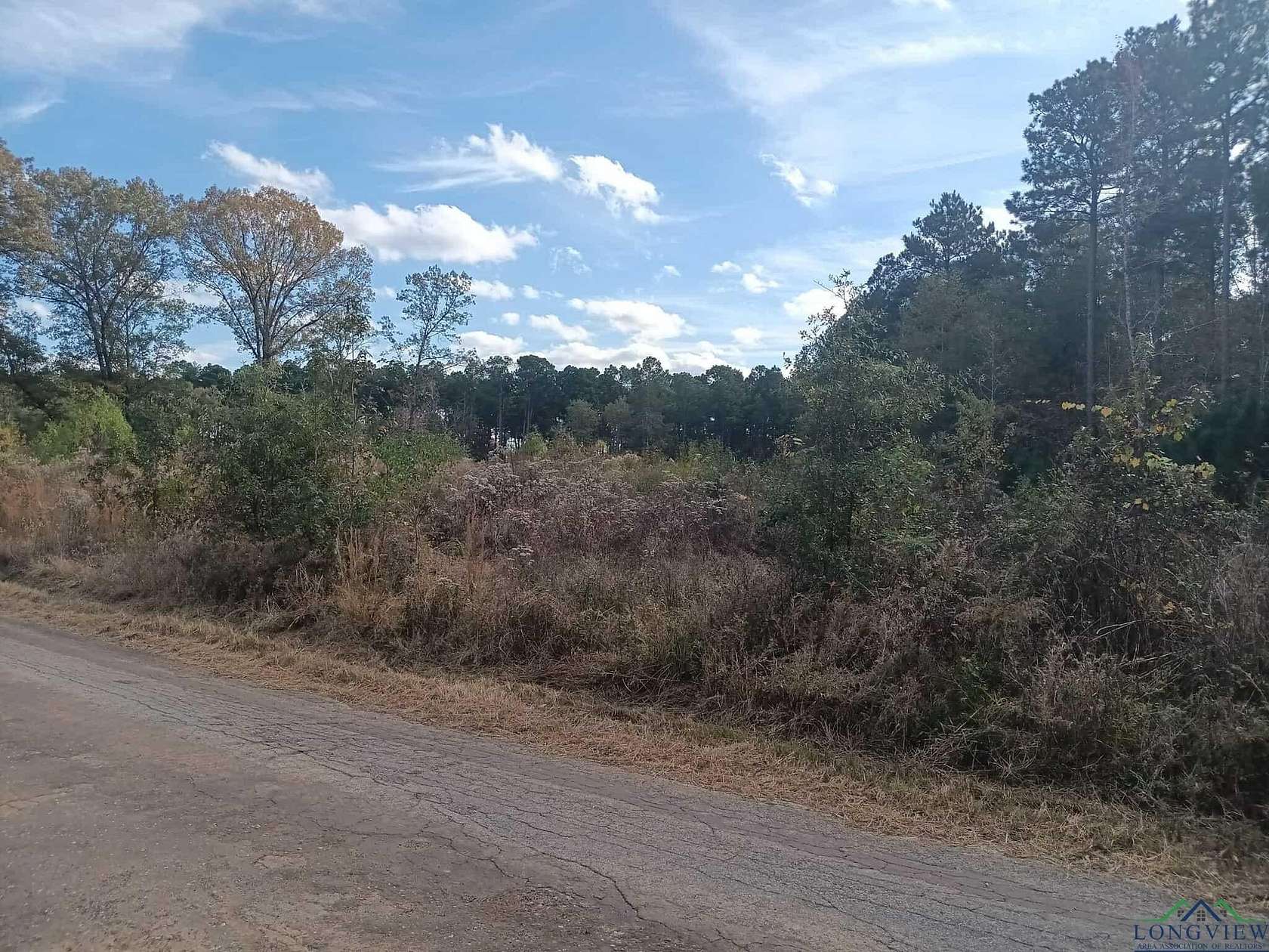 2.3 Acres of Land for Sale in Ore City, Texas