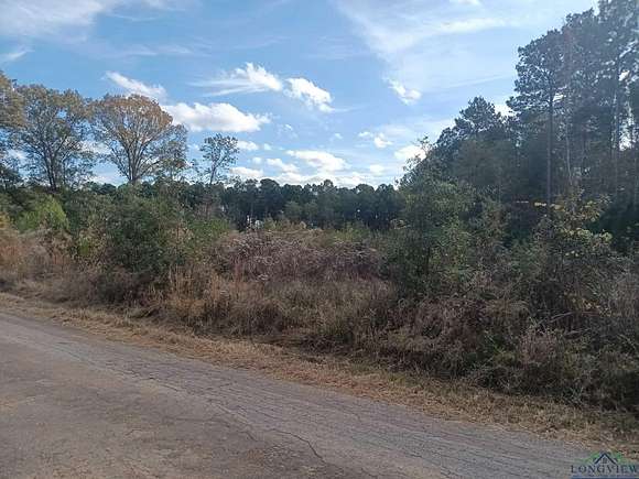 2.3 Acres of Land for Sale in Ore City, Texas